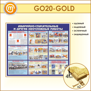  -     (GO-20-GOLD)